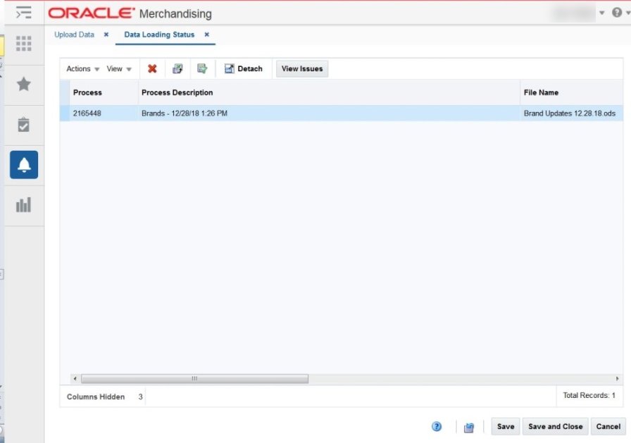 Data Loading Status tab with a process selected and the View Issues button.